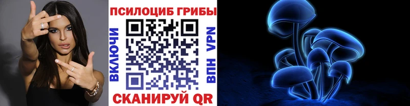 Галлюциногенные грибы Magic Shrooms  MEGA зеркало  Нестеров 